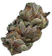 buds Premium weed flower products Two Rivers Wellness Sacramento California